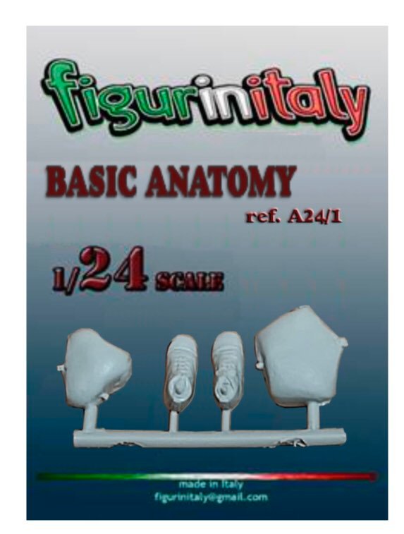 Anatomy for 1/24 scale Mannequin