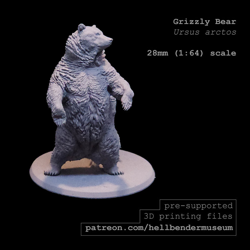 Grizzly Bear - 28mm - 3D Print