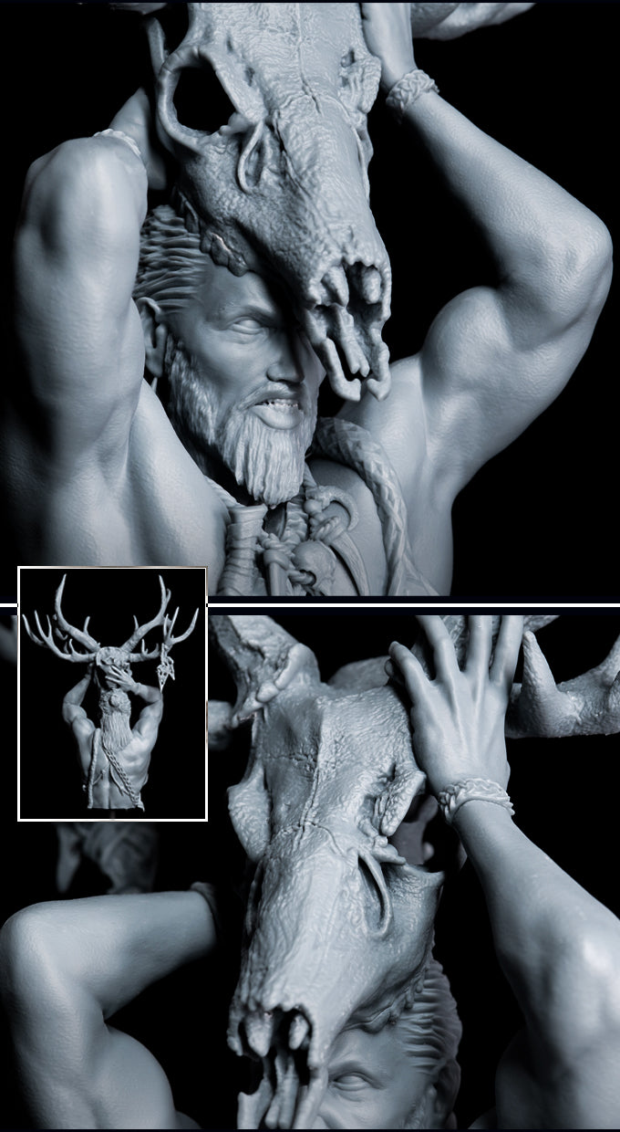 Druid Wappellious Bust - 3D Print