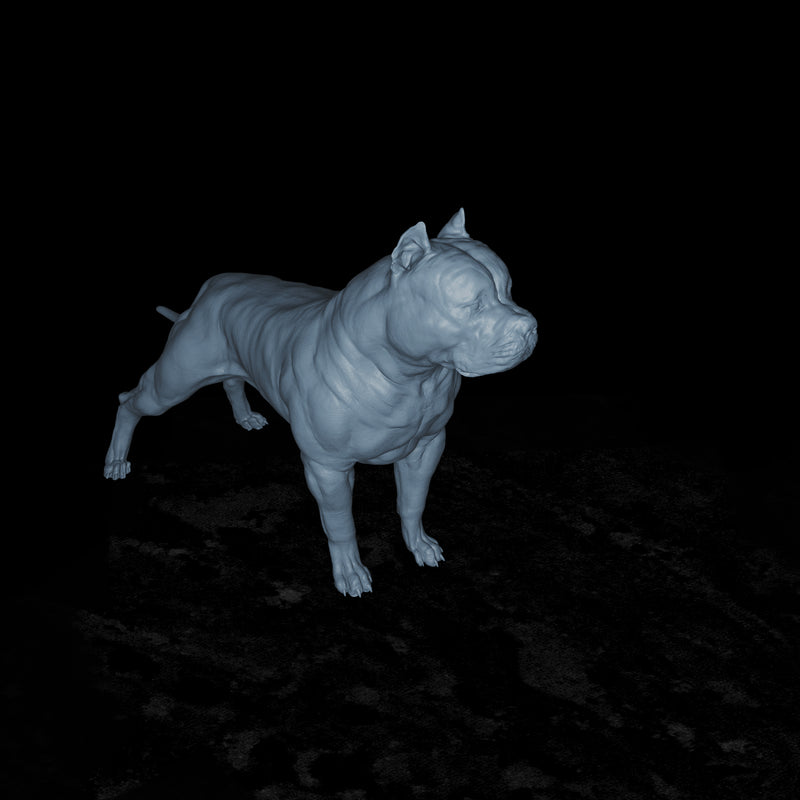 American Bull Dog - 3D Print
