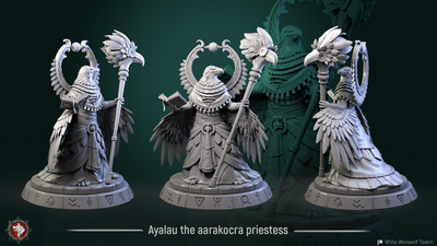 Ayalau the Aarakocra Priestess - 75mm - 3D Print