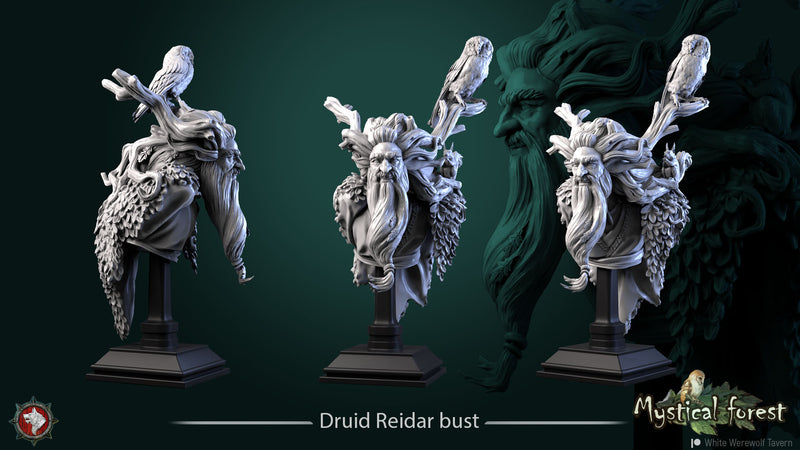 Druid Reidar Bust - 3D Print