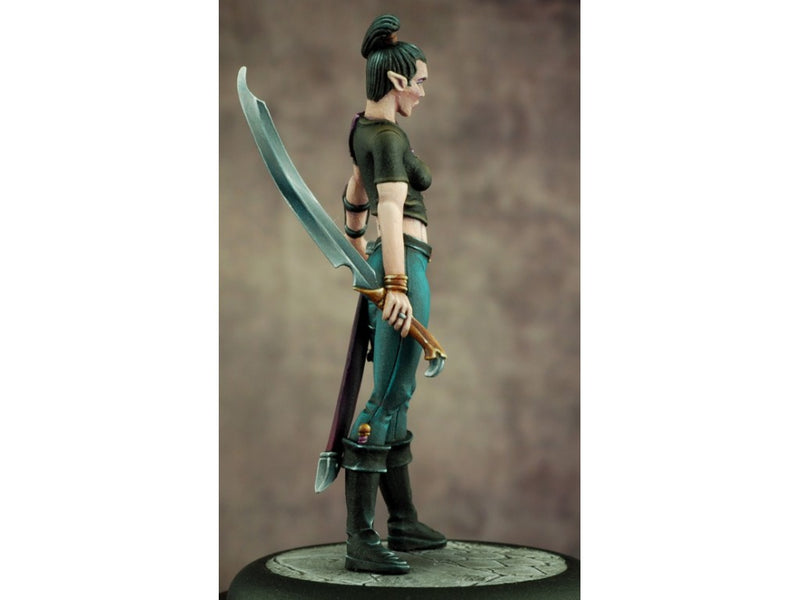 Zahnn, Female Dark Elf Warrior