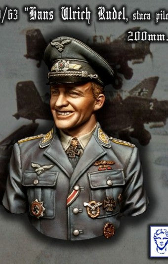 Hans-Ulrich Rudel, Stuka Pilot