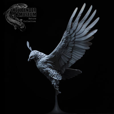 Lammergeier - Bearded Vulture - 75mm - 3D Print