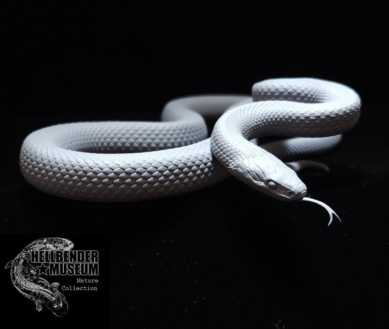 Aesculapian snake - 3D Print