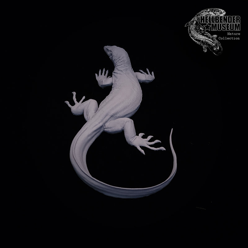 Asian Water Monitor - 75mm - 3D Print