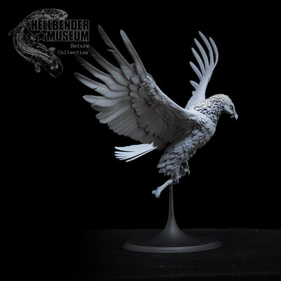 Lammergeier - Bearded Vulture - 75mm - 3D Print