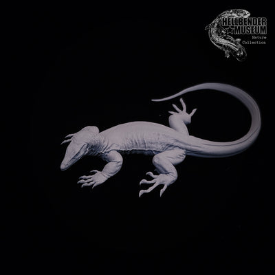 Asian Water Monitor - 75mm - 3D Print