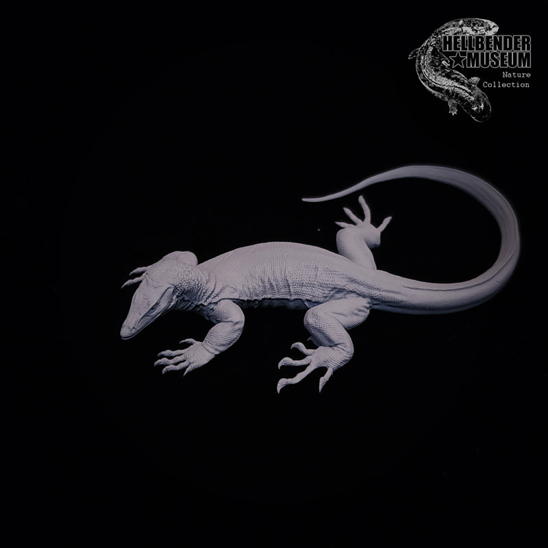 Asian Water Monitor - 75mm - 3D Print