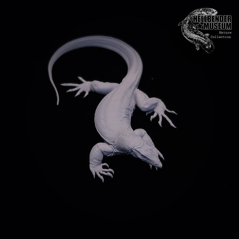Asian Water Monitor - 75mm - 3D Print