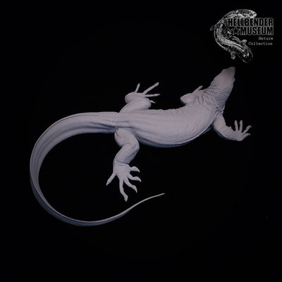 Asian Water Monitor - 75mm - 3D Print