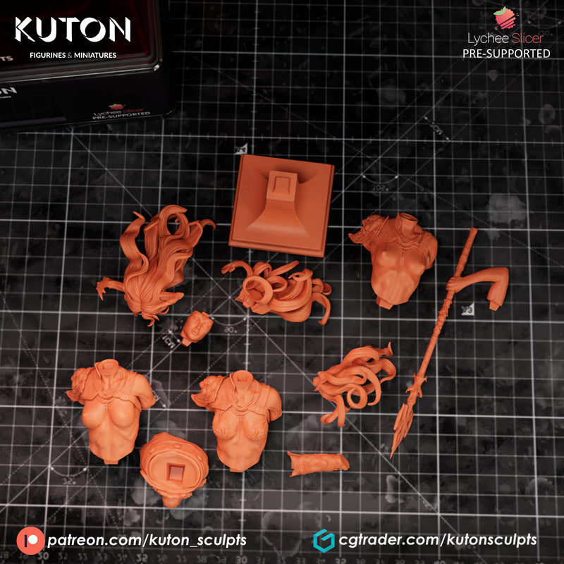 Vexoria Bust- 3D Print