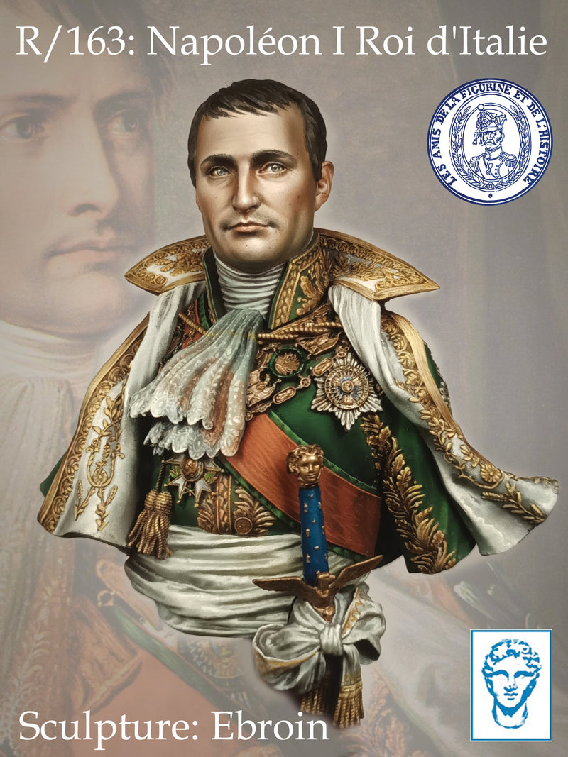 Napoleon I, Roi d&