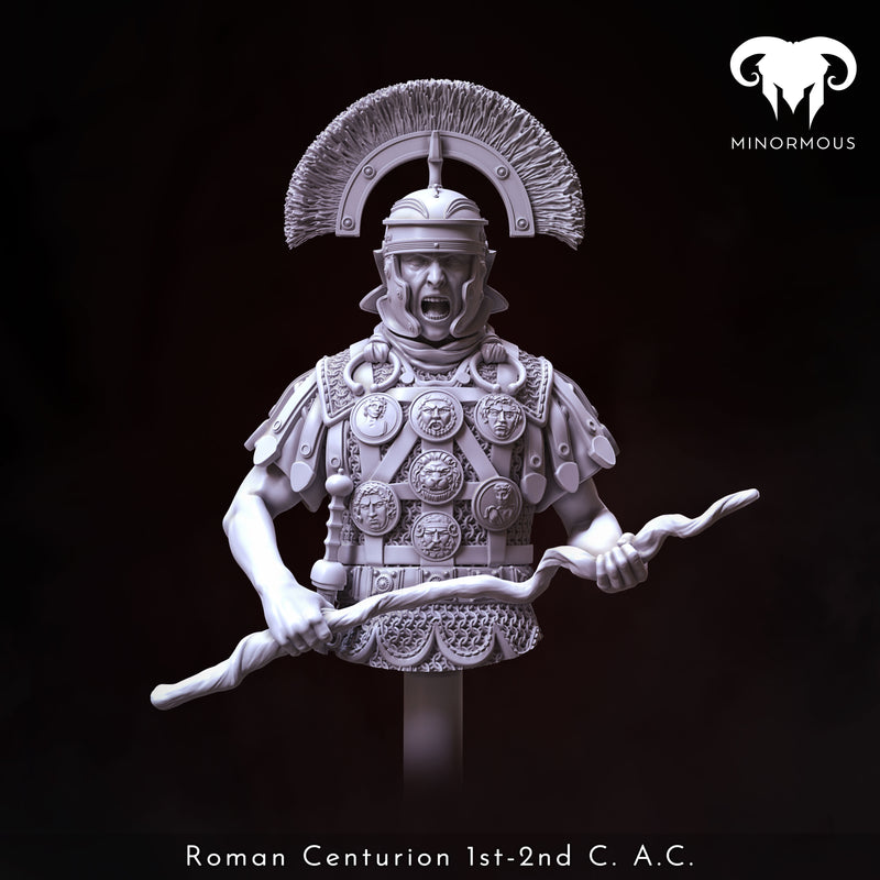 Roman Centurion 1st-2nd C. A.C. "Discipline and Order" Bust - 3D Print