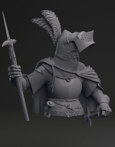 European knight from the late 14th c- Bust