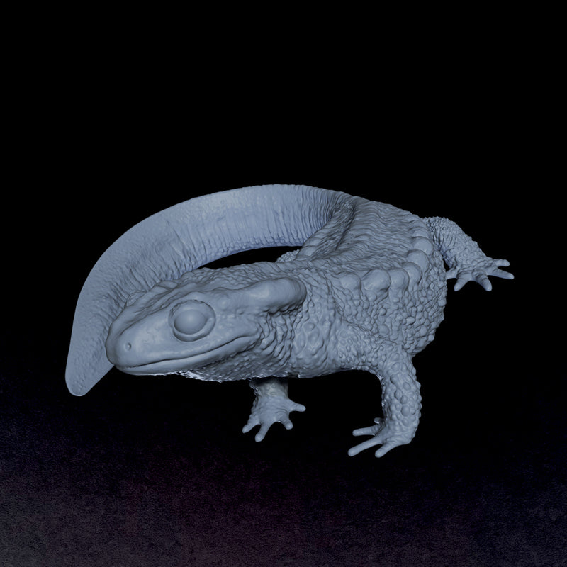 Emperor Newt - 3D Print