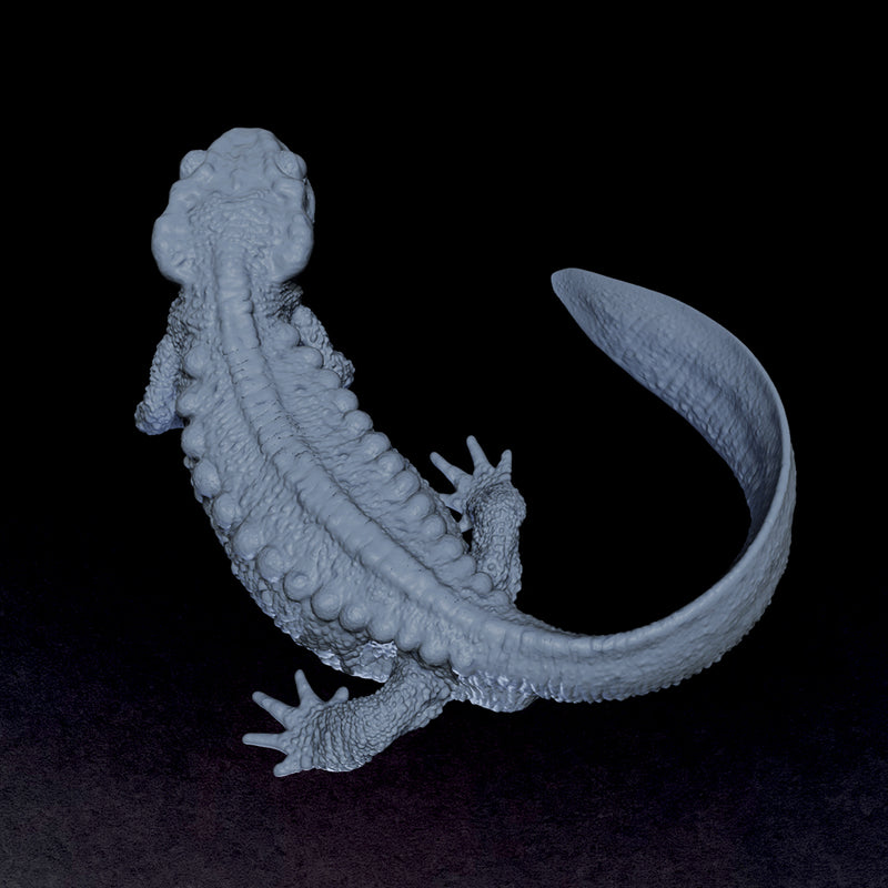 Emperor Newt - 3D Print