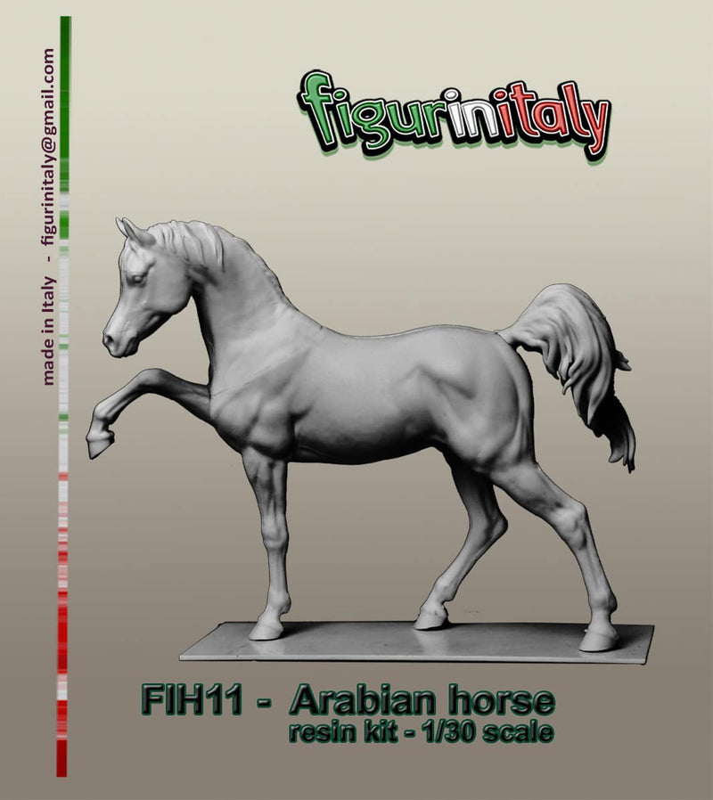Arabian Horse (2)