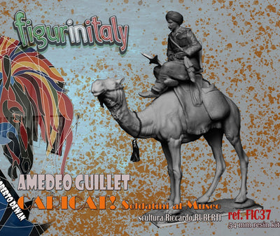 Amedeo Guillet