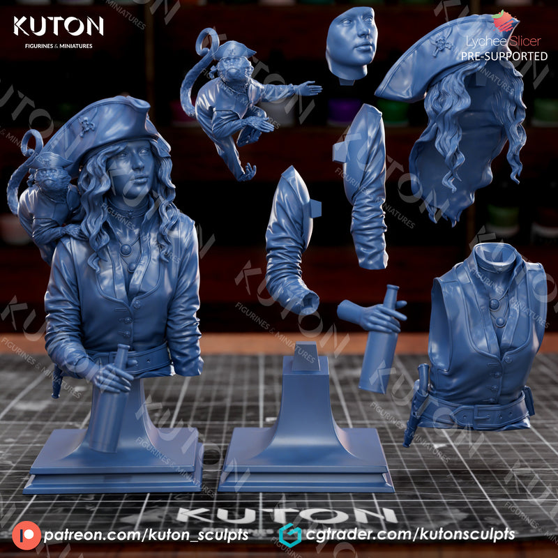Captain Lyra Bust - 3D Print