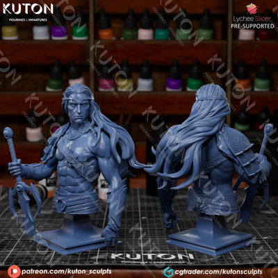 Elric of Melnibone Bust - 3D Print