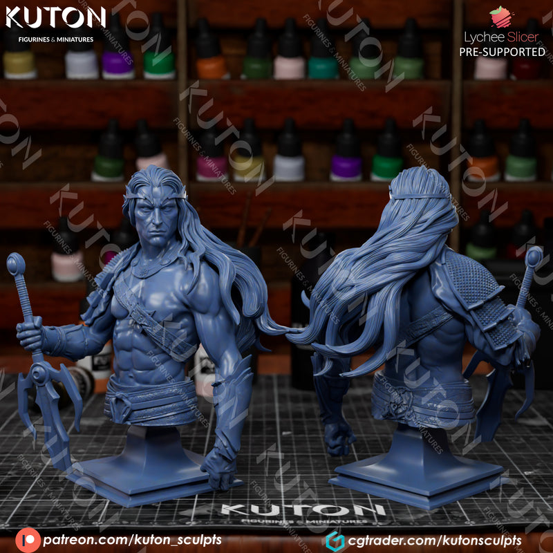 Elric of Melnibone Bust - 3D Print