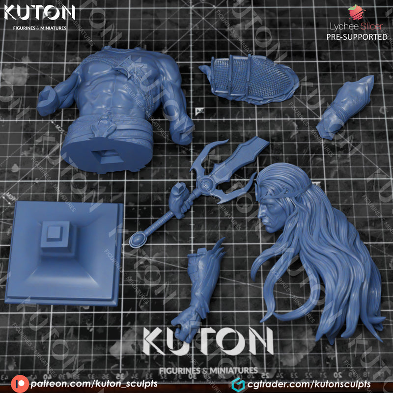 Elric of Melnibone Bust - 3D Print