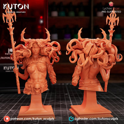 Vexoria Bust- 3D Print