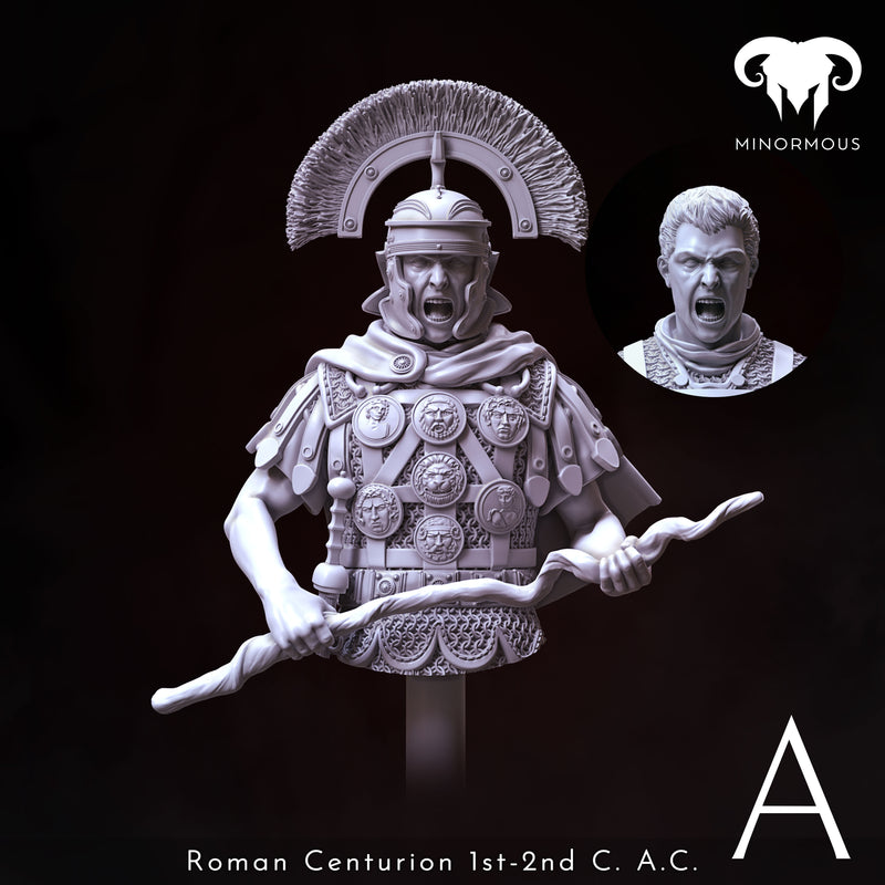 Roman Centurion 1st-2nd C. A.C. "Discipline and Order" Bust - 3D Print