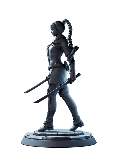 Assassin - 3D Print