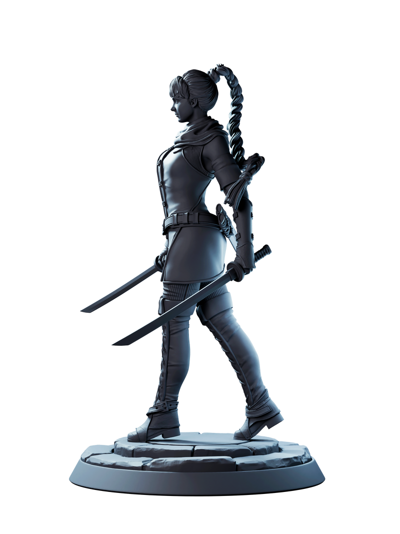 Assassin - 3D Print