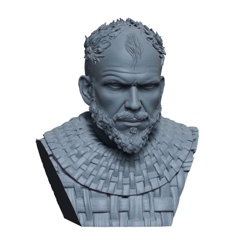 Floki Bust- 3D Print
