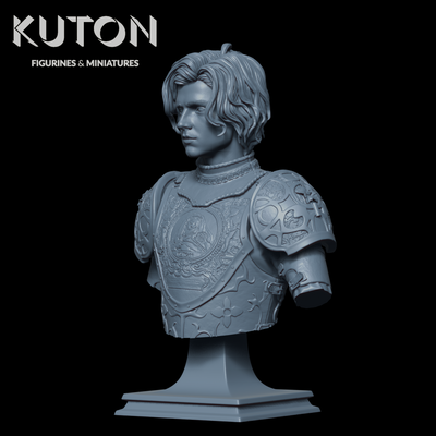 Sir Wulfstan Bust - 3D Print