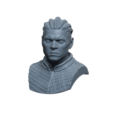 Ivar the Boneless Bust- 3D Print