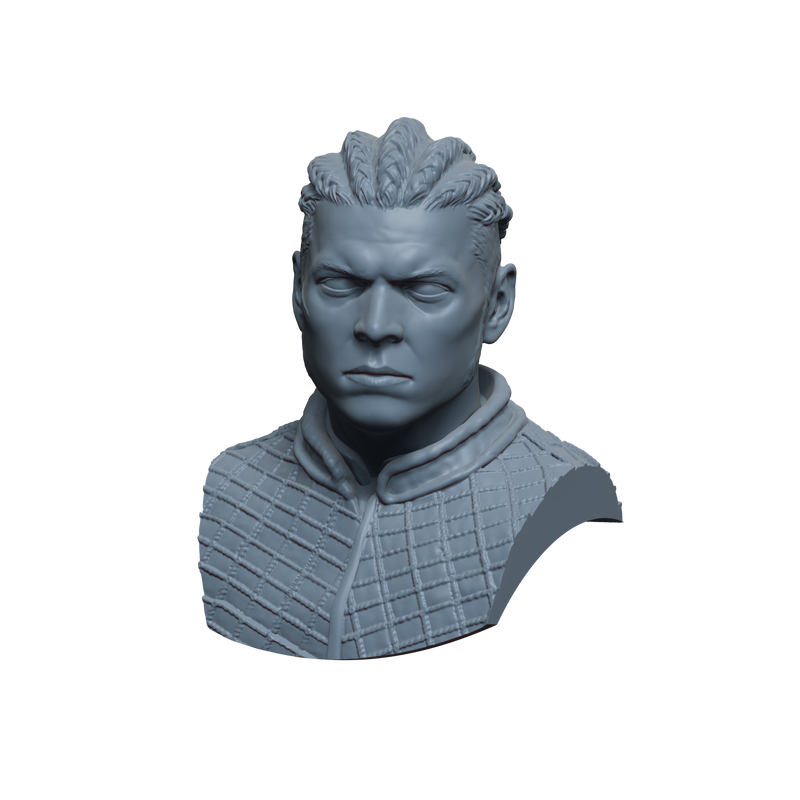 Ivar the Boneless Bust- 3D Print