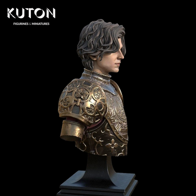 Sir Wulfstan Bust - 3D Print