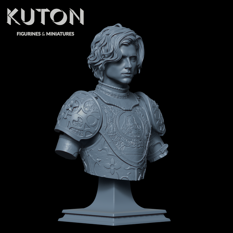 Sir Wulfstan Bust - 3D Print