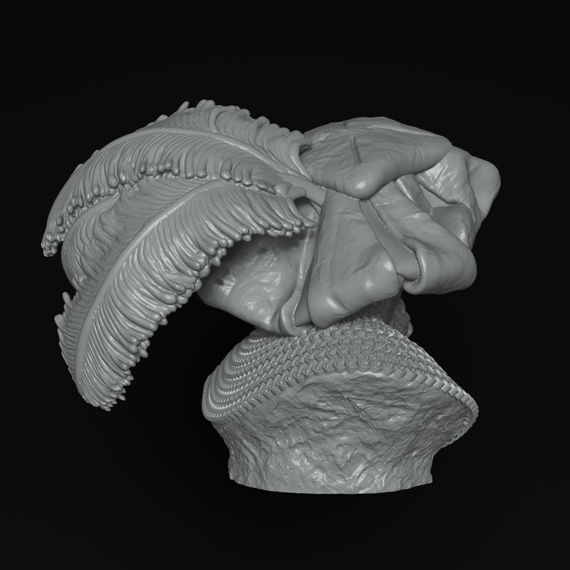 Landsknecht 16th Cent. Bust - 3D Print