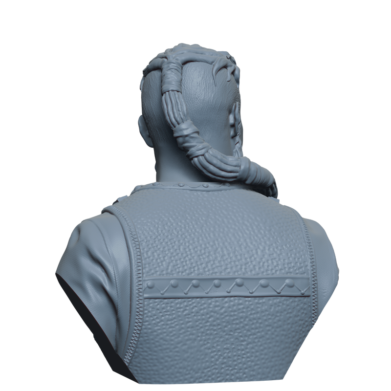 Ubbe Bust- 3D Print