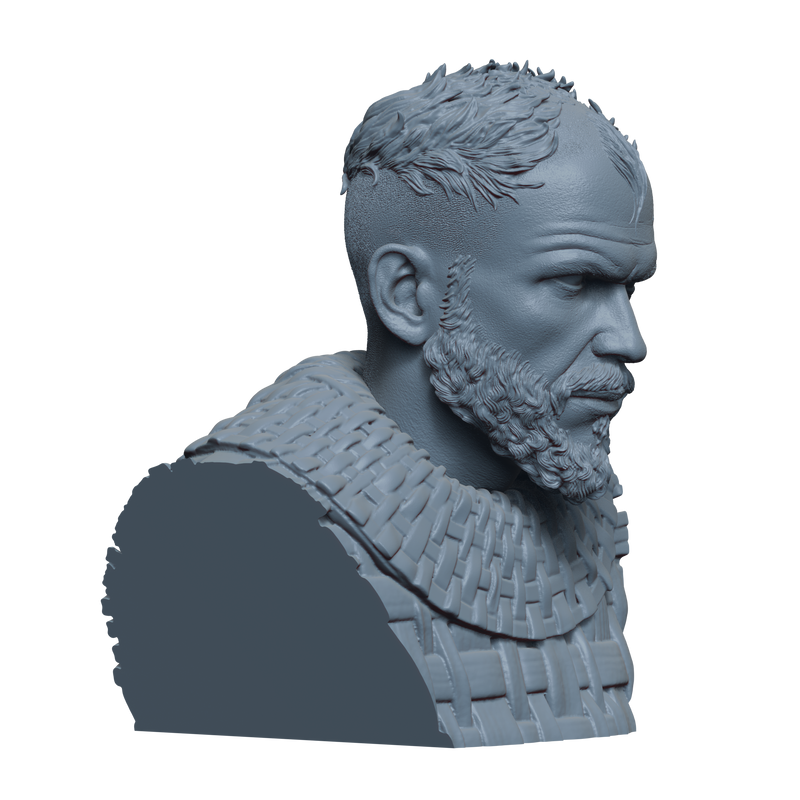 Floki Bust- 3D Print