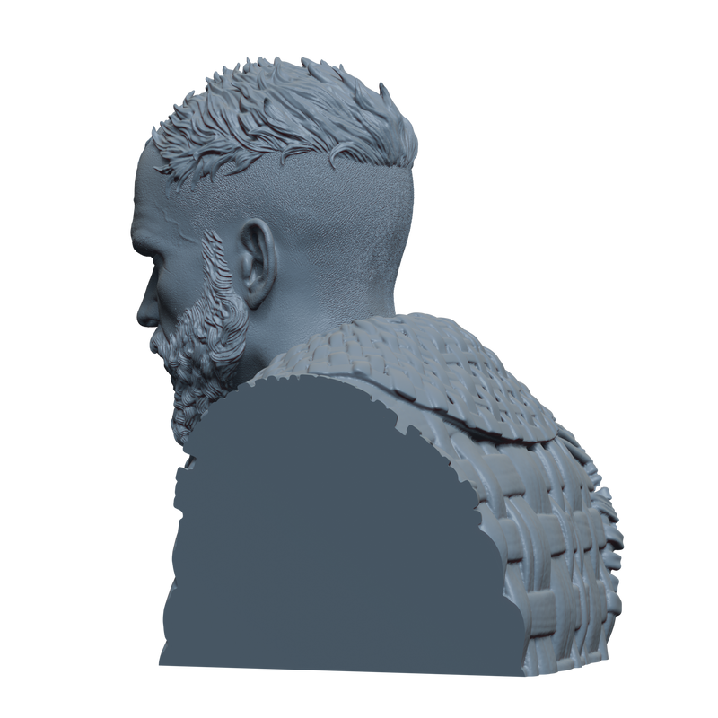 Floki Bust- 3D Print