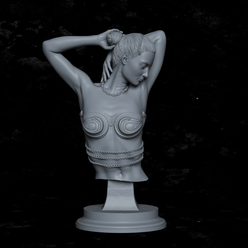 Beatrice, Paladin&
