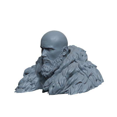 Bjorn Ironside Bust- 3D Print