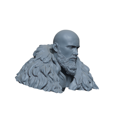 Bjorn Ironside Bust- 3D Print
