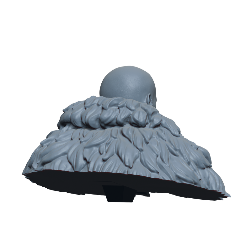 Bjorn Ironside Bust- 3D Print