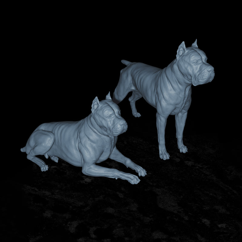 Cane Corso - 3D Print