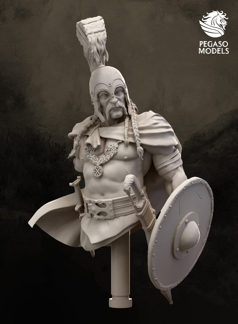 Celtiberian Warrior
