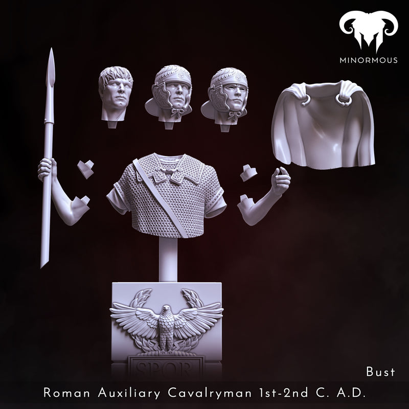 Roman Auxiliary Cavalryman 1st-2nd C. A.D. "Auxilia Equestrians" Bust - 3D Print
