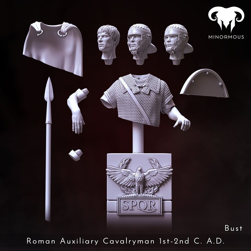 Roman Auxiliary Cavalryman 1st-2nd C. A.D. "Horsemen of Antiquity" Bust - 3D Print